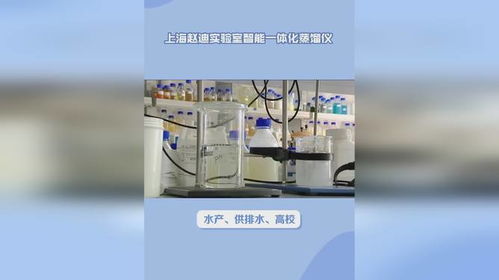 上海實驗室蒸餾儀器設備熱銷中,廠價直銷,歡迎選購